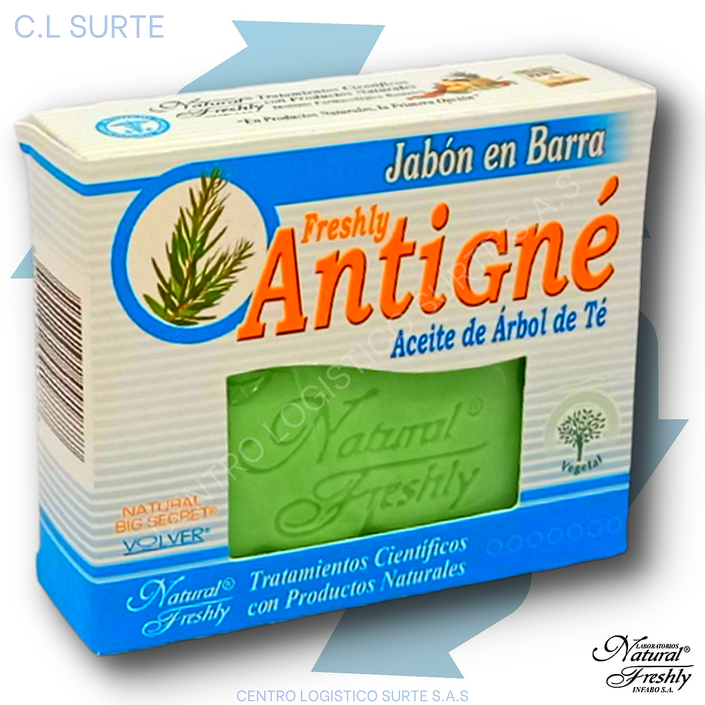 JABON ANTIGNE X 90 GR FRESHLY